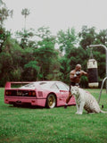 Easy Tiger