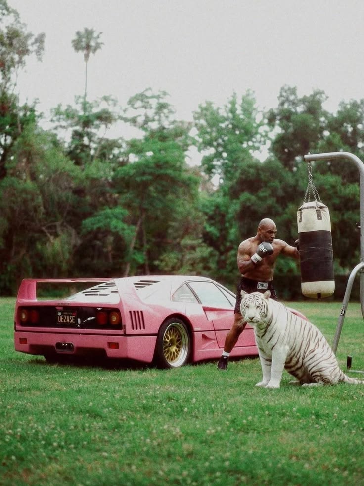 Easy Tiger